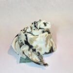 Whatsapp Image 2025 11 20 At 14.39.41 (1)