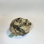 Whatsapp Image 2025 11 20 At 14.39.41