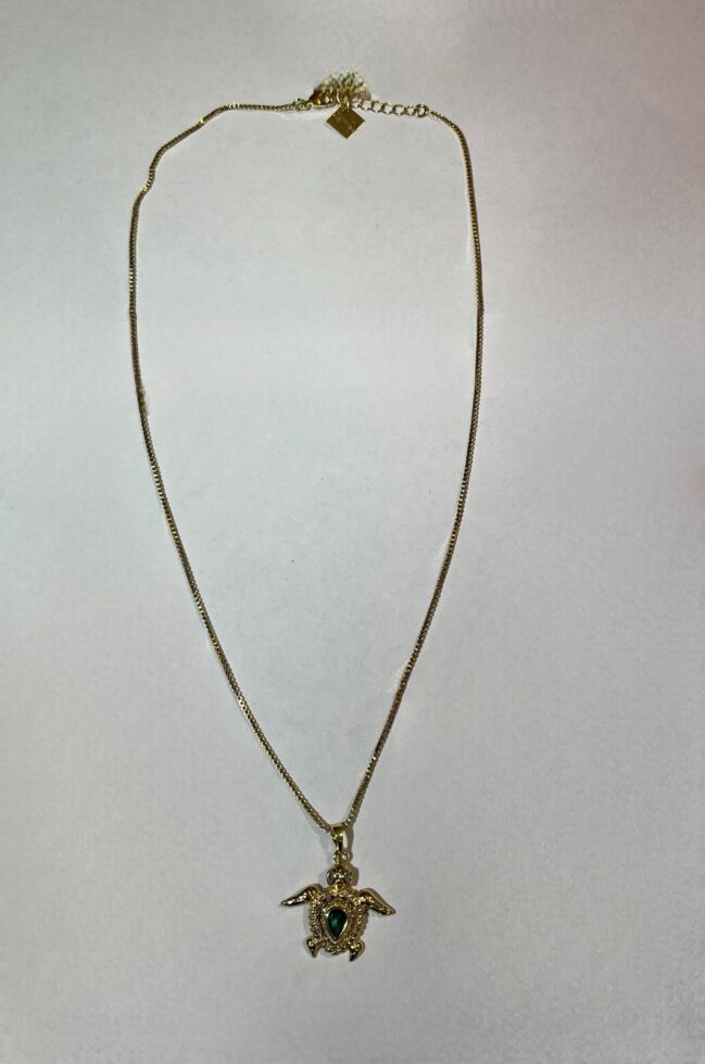 Whatsapp Image 2026 01 21 At 16.57.03