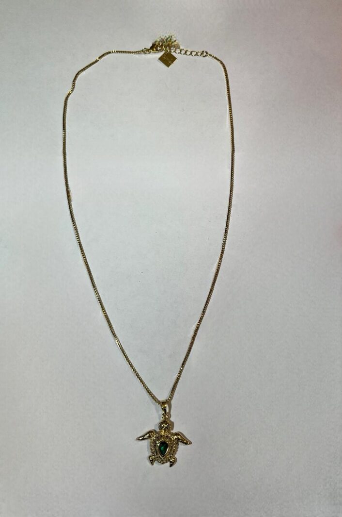 Whatsapp Image 2026 01 21 At 16.57.03