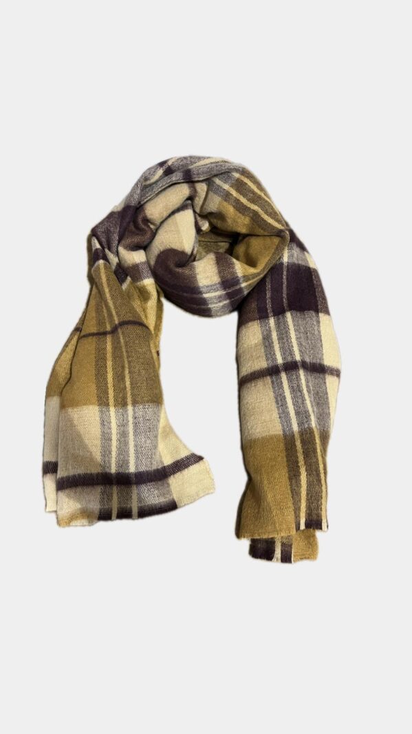 Whatsapp Image 2026 01 28 At 16.49.35 (3)