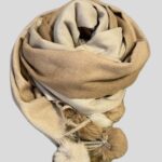 Whatsapp Image 2026 02 15 At 15.53.01