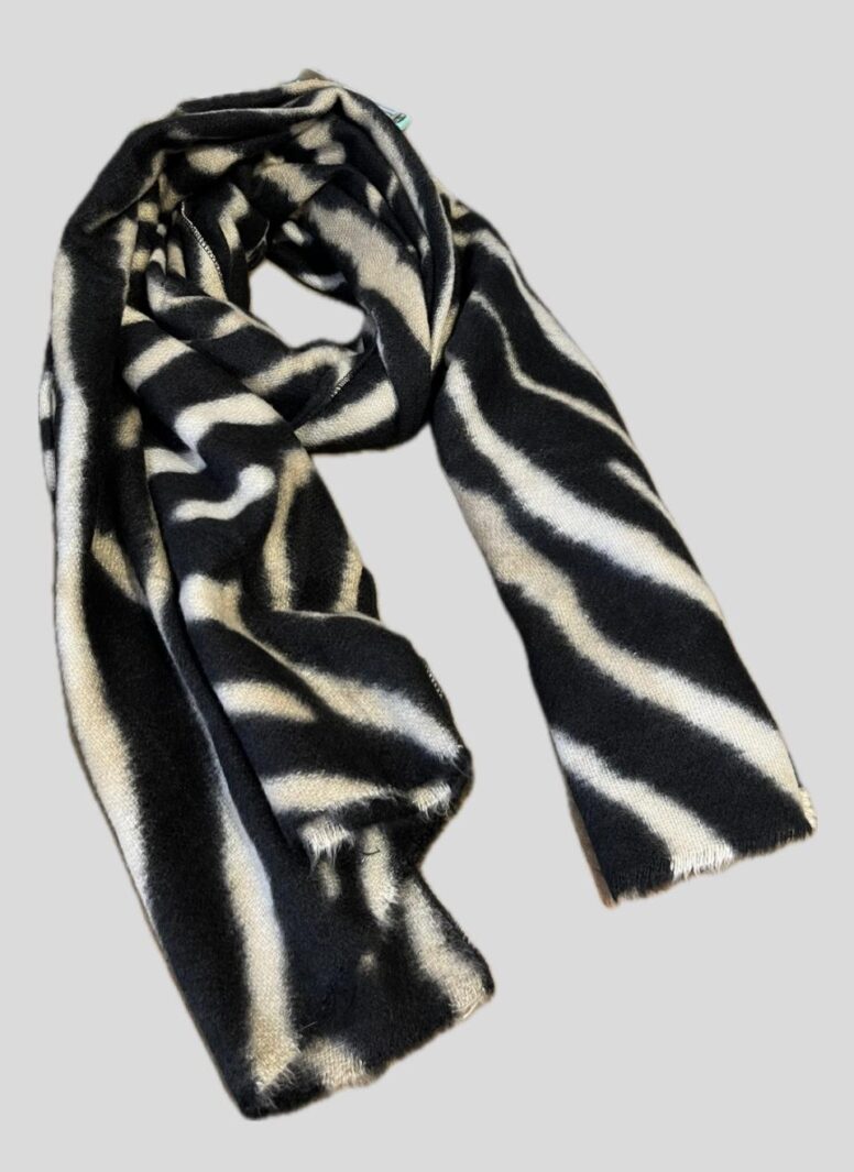 Whatsapp Image 2026 02 15 At 15.53.04